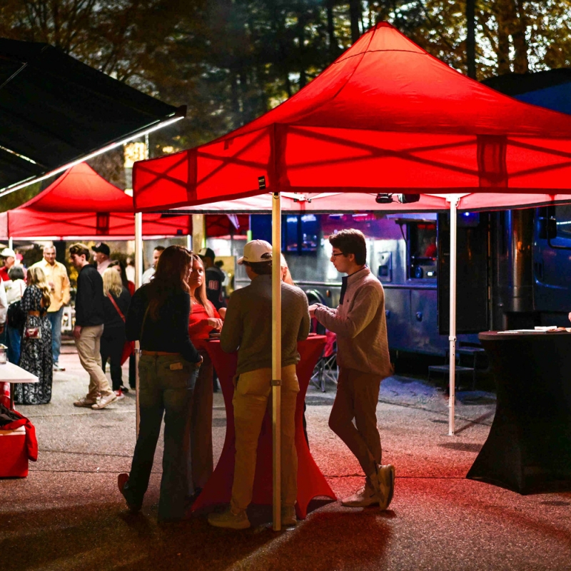 Illumipeak canopy lighting — product photo