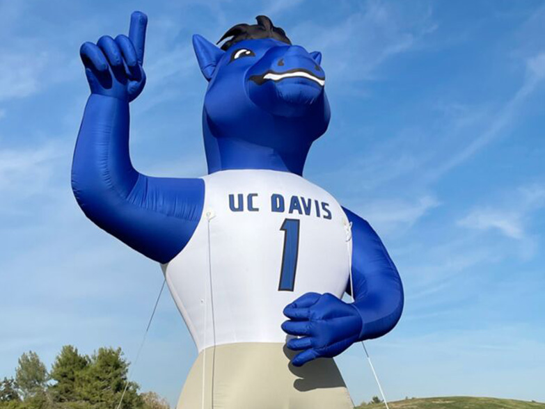 UC Davis 20ft Inflatable Mascot!
